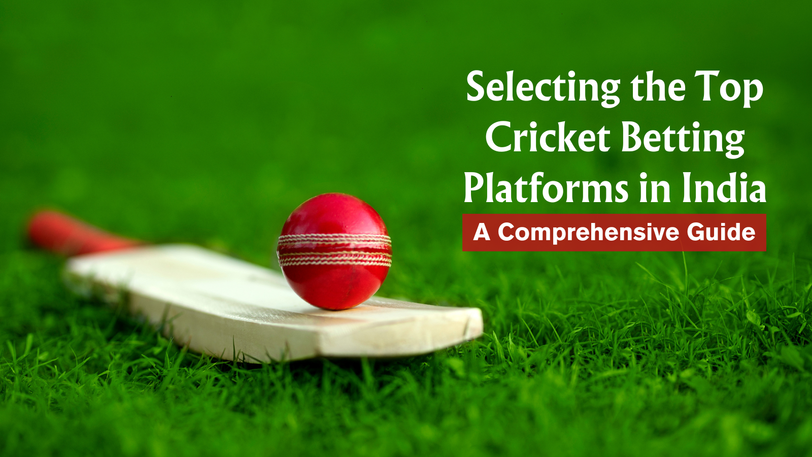 How to Choose the Best Cricket Betting Sites in India