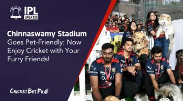 Chinnaswamy Stadium Goes Pet-Friendly Now Enjoy Cricket with Your Furry Friends!