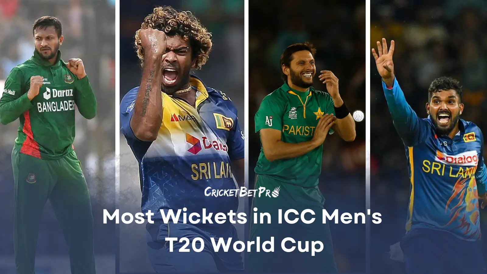 Most wickets in t20