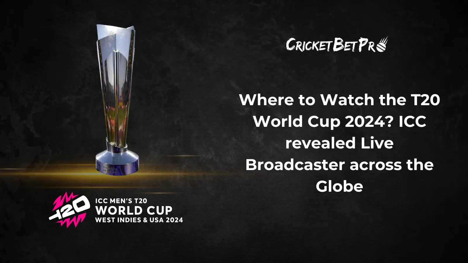 Where to Watch the T20 World Cup 2024