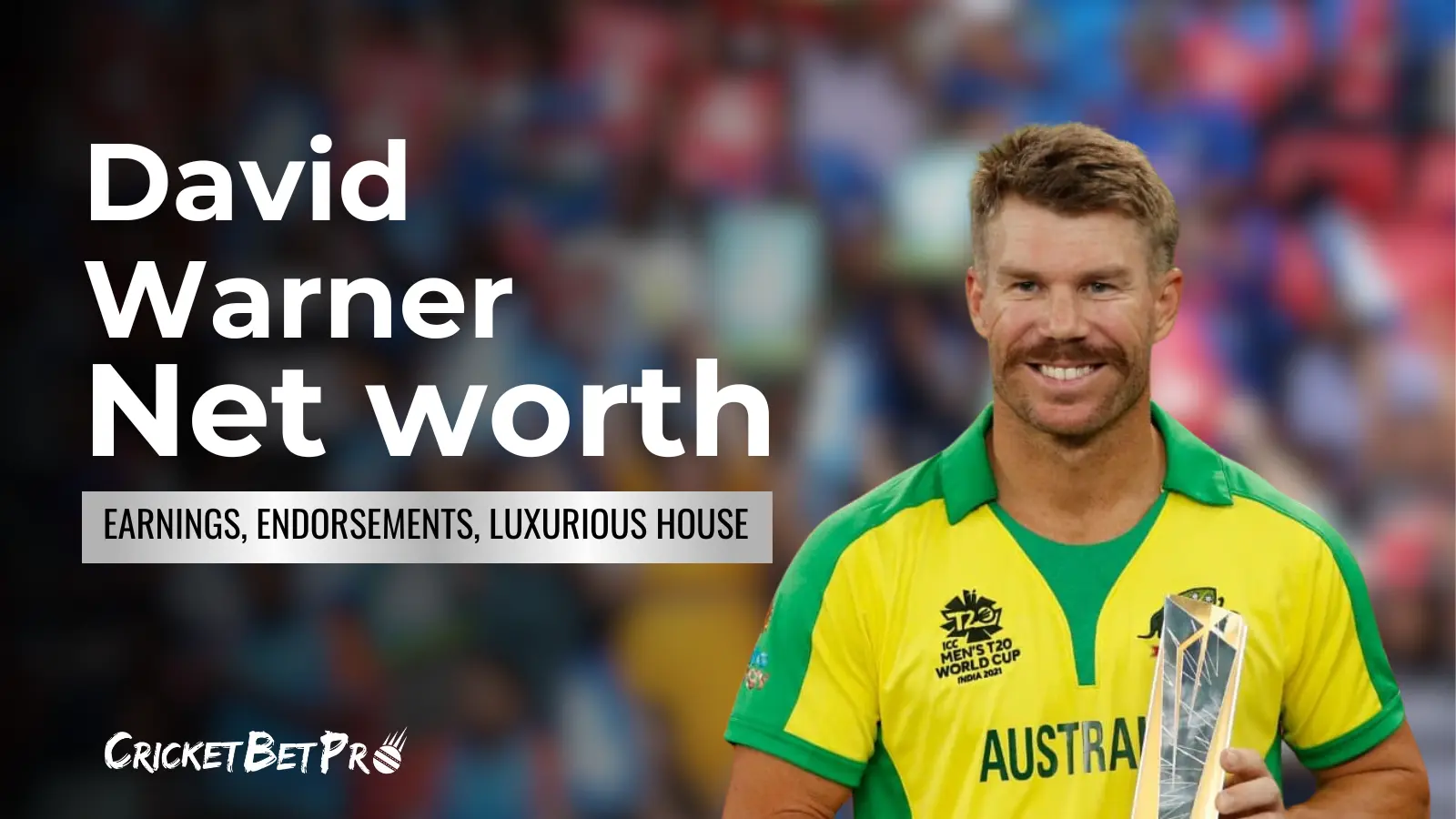 David Warner Net Worth