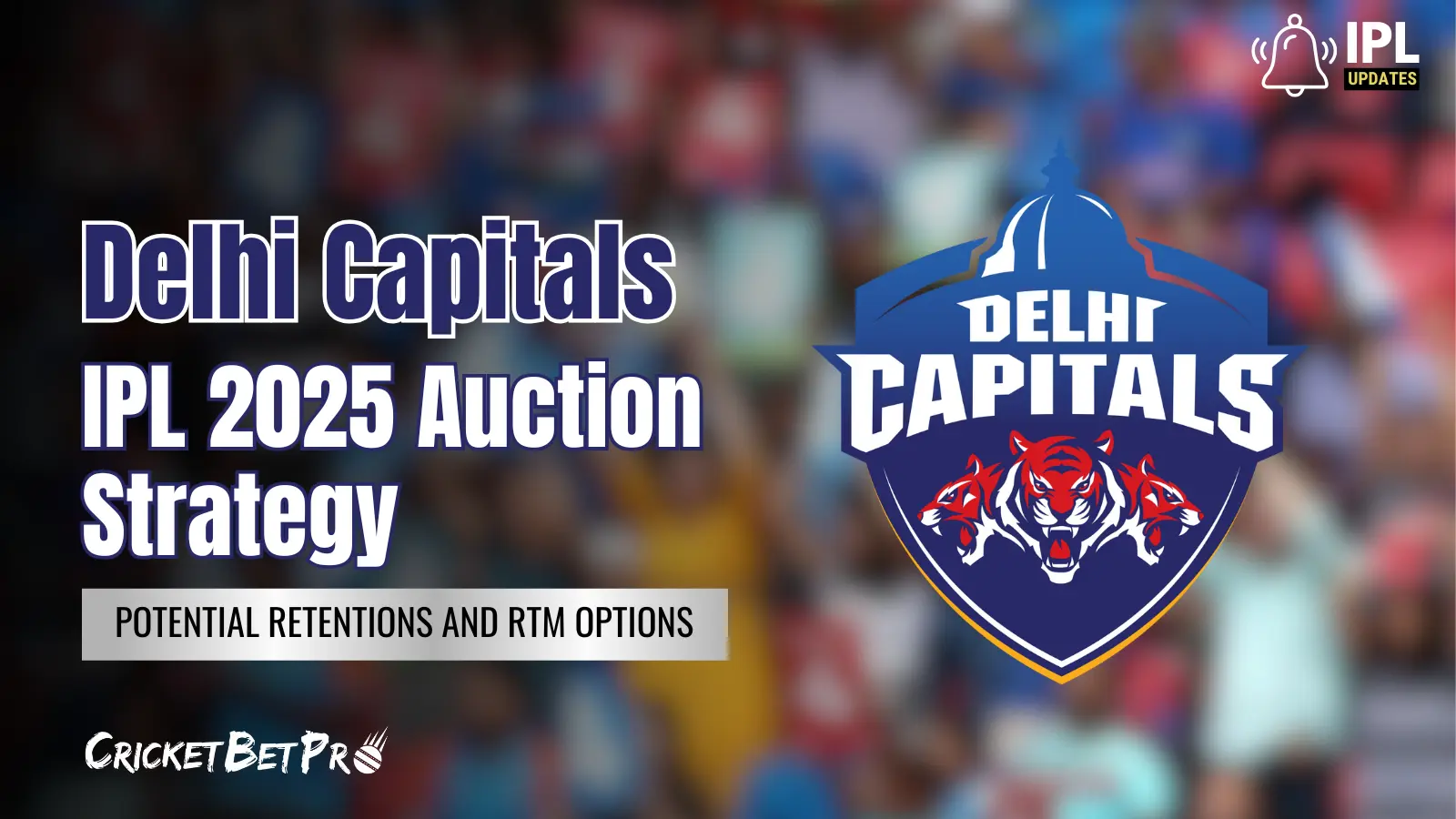 Delhi Capitals IPL 2025 Auction