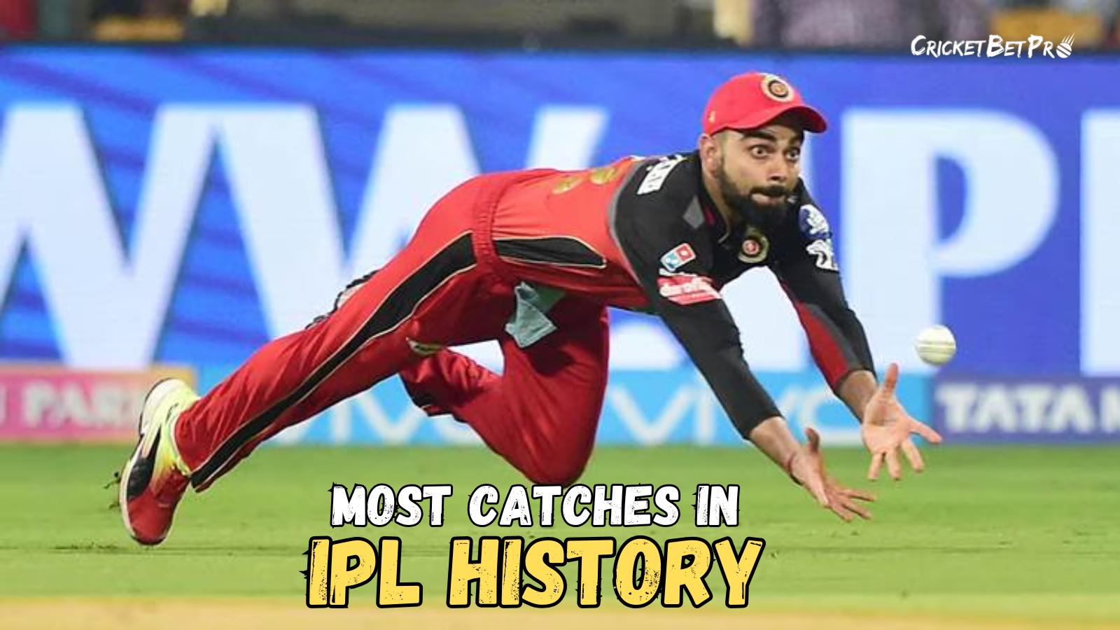 Most Catches in IPL History